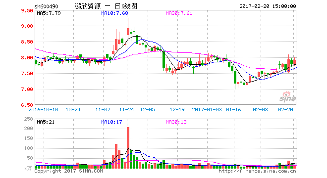 上交所关注鹏欣资源拟购澳矿情况