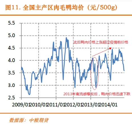 3年最强禽流感来袭 周黑鸭遭遇黑天鹅